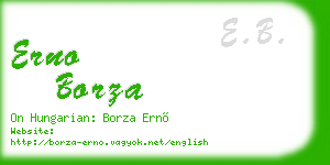 erno borza business card