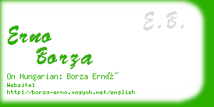 erno borza business card